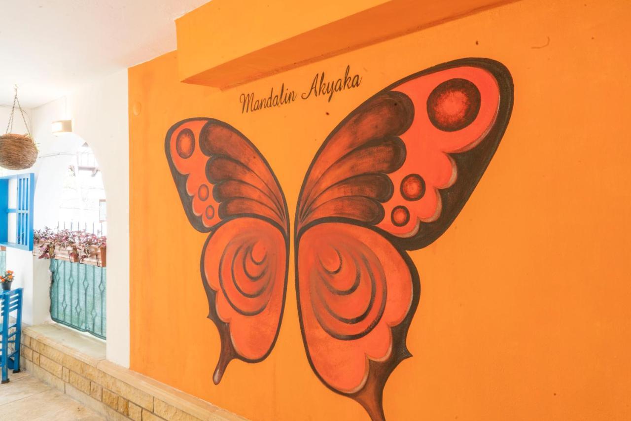 Mandalin Akyaka Hotel Akyaka  Kültér fotó